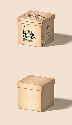 2022年最新纸板产品展示样机素材 创意、实用与设计灵感的完美融合